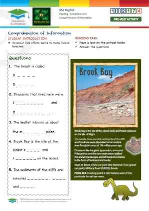 Click to view Resource 102174 Comprehension of Information