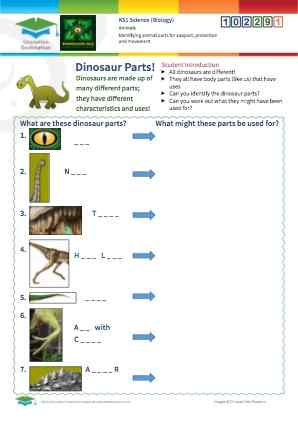 Click to view Resource 102291 Identifying animal parts for support, protection and movement