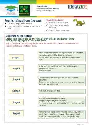 Click to view Resource 102311 Fossils - Clues from the past