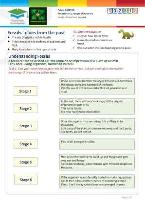Click to view Resource 102313 Fossils - Clues from the past