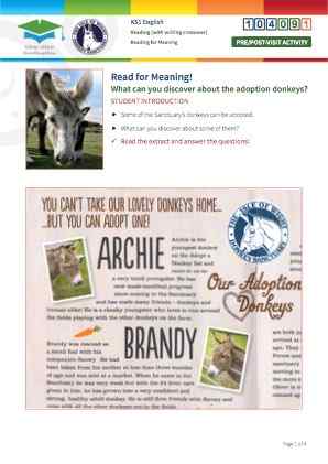 Click to view Resource 104091 Read for Meaning! Adoption donkeys