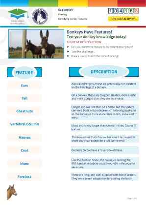 Click to view Resource 104163 Understanding Donkey Features