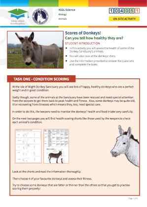 Click to view Resource 104051 Scores of Donkeys!