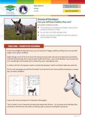 Click to view Resource 104052 Scores of Donkeys!