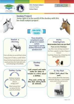 Click to view Resource 104281 Donkey Project!