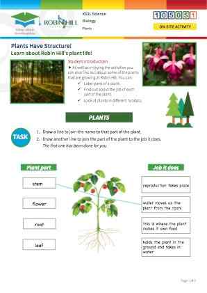 Click to view Resource 105051 Plants Have Structure!
