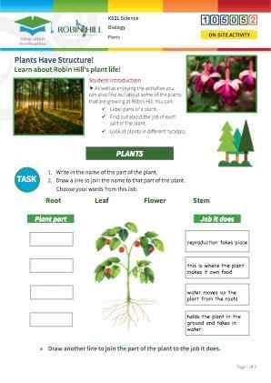 Click to view Resource 105052 Plants Have Structure!