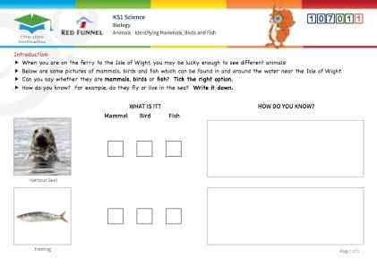 Click to view Resource 107011 Identifying mammals, birds and fish