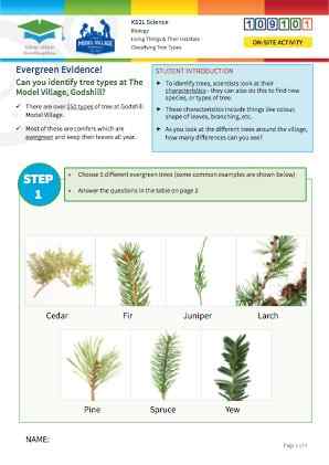 Click to view Resource 109101 Identifying trees at The Model Village, Godshill