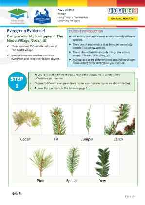 Click to view Resource 109102 Identifying trees at The Model Village, Godshill