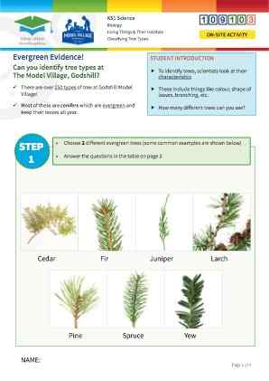 Click to view Resource 109103 Identifying trees at The Model Village, Godshill
