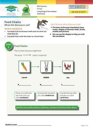 Click to view Resource 114031 Food Chains
