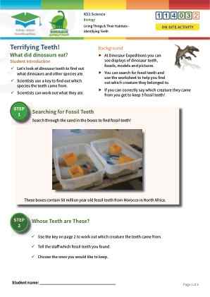 Click to view Resource 114032 Identifying Teeth Types