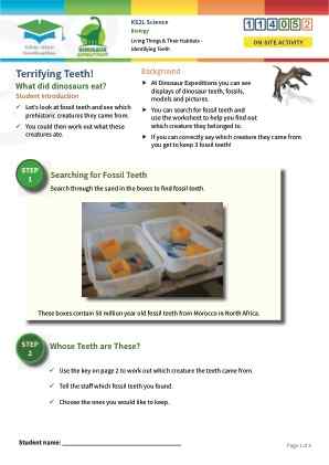 Click to view Resource 114052 Identifying Teeth Types
