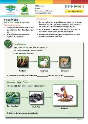 Click to view Resource 114061 Relationships in an Ecosystem - Food Chains & Food Webs