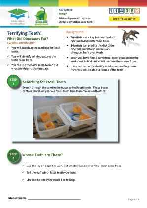 Click to view Resource 114062 Relationships in an Ecosystem - Food Chains & Food Webs