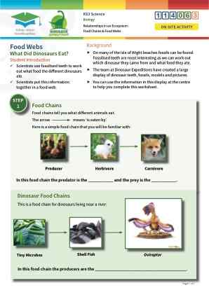 Click to view Resource 114063 Relationships in an Ecosystem - Food Chains & Food Webs