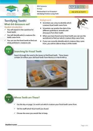 Click to view Resource 114064 Relationships in an Ecosystem - Food Chains & Food Webs