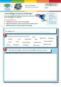 Click to view Resource 119111 Camouflage Drawing Challenge!