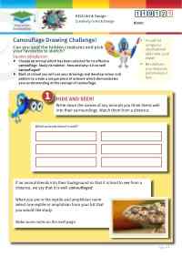 Click to view Resource 119121 Camouflage Drawing Challenge!