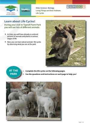 Click to view Resource 152081 Life Cycle Study at Tapnell