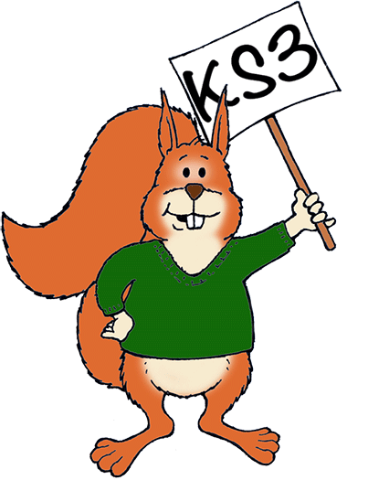 Key Stage ED Squirrel