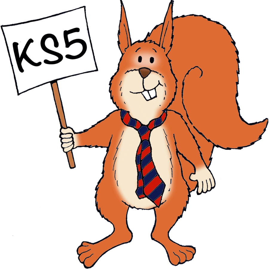 Key Stage ED Squirrel
